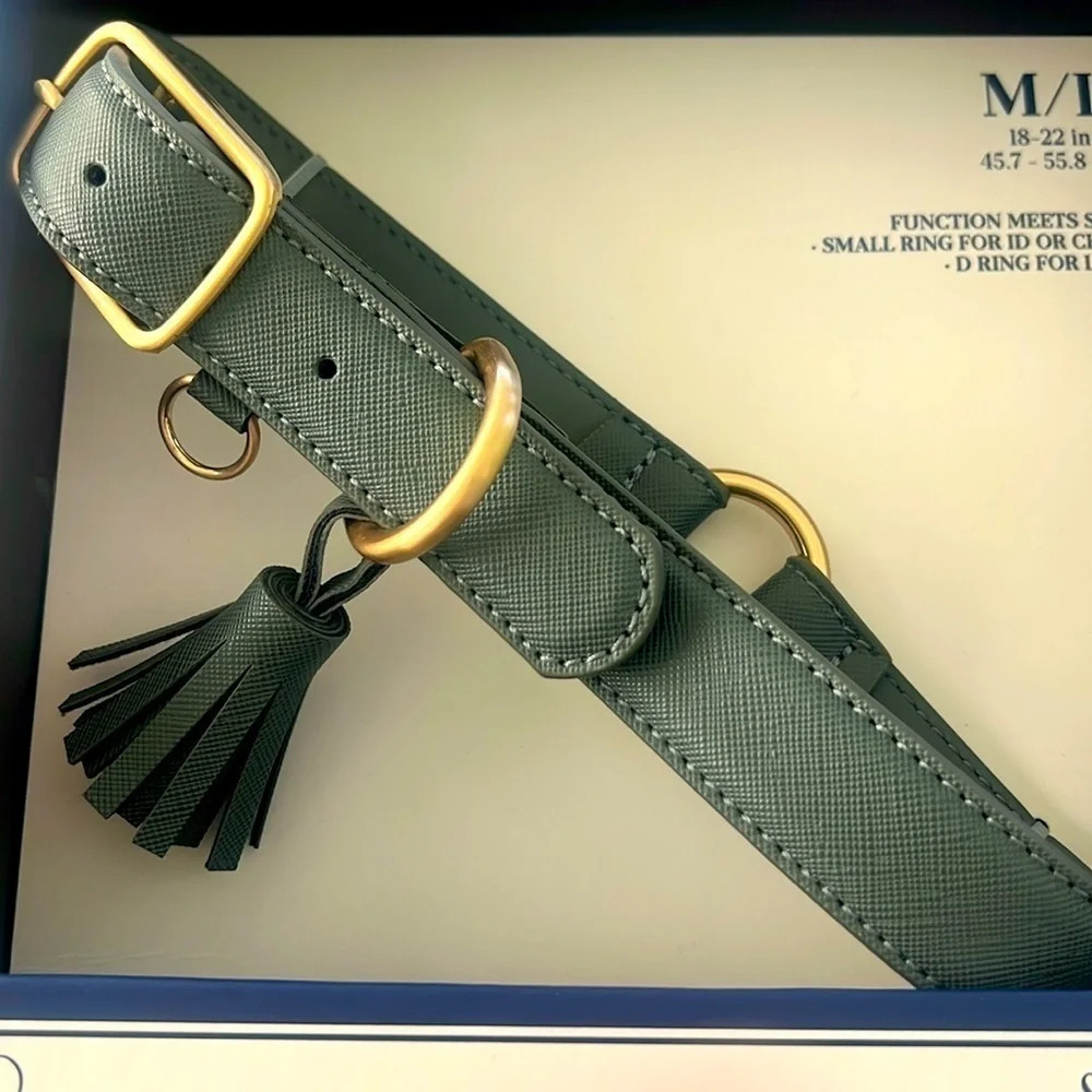 Southern Living Vegan-Leather Dog Collar Teal-Blue w/ Tassel Gold HW NWT
